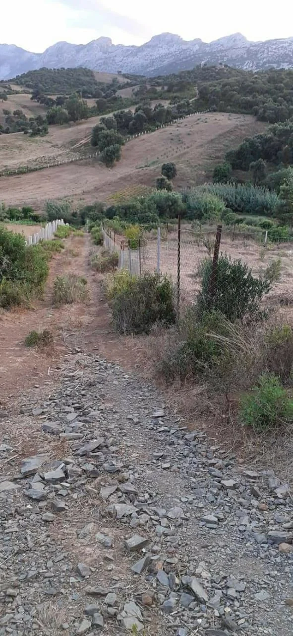 Appartement élégant à louer dans le quartier Mohammed V à Agadir, de 75 mètres .