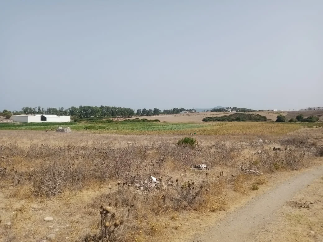 Terrain à vendre à mdiq , R+3, 230 mètres carrés, propriété, deux façades